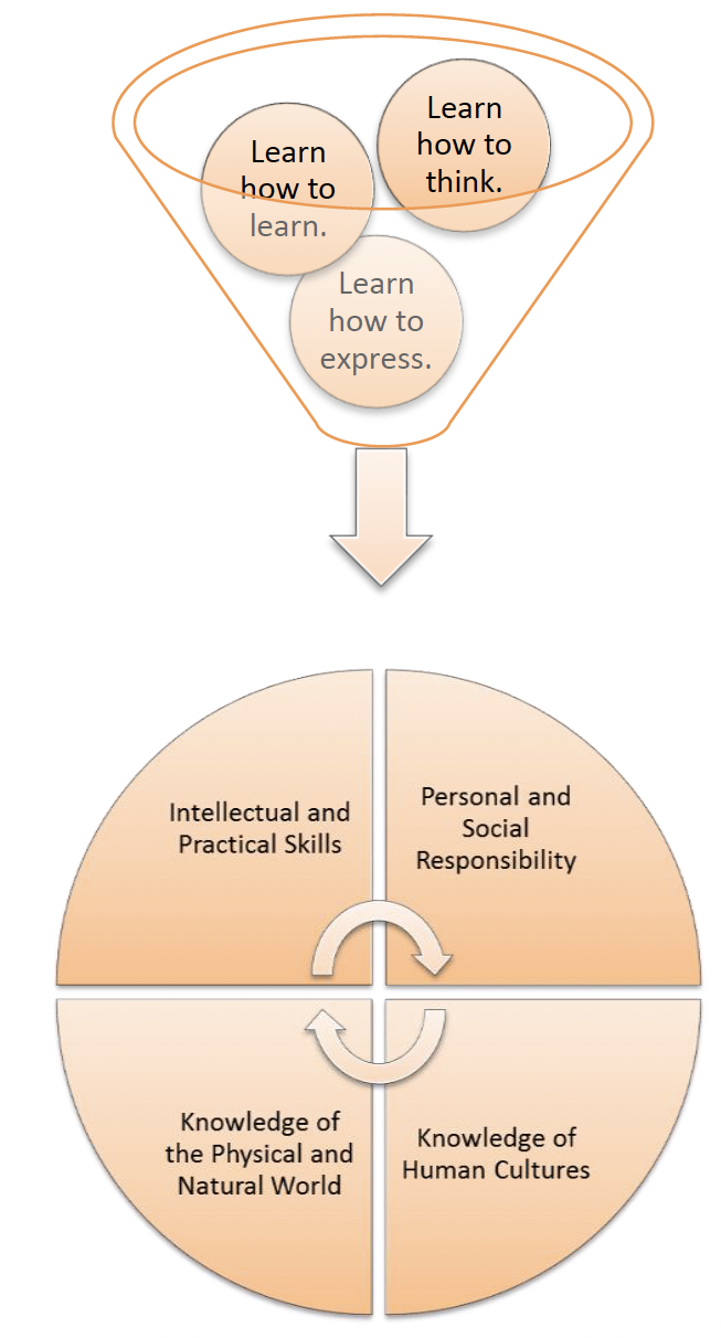 Funnel of a diagram of different types of skills